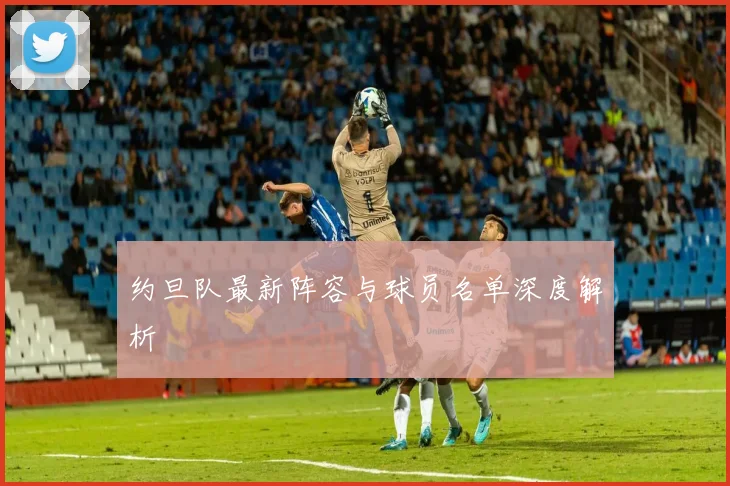 约旦队最新阵容与球员名单深度解析